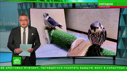 Смотреть