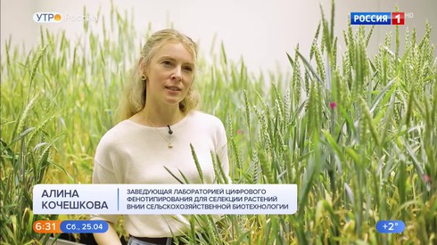 Смотреть