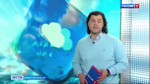 Смотреть