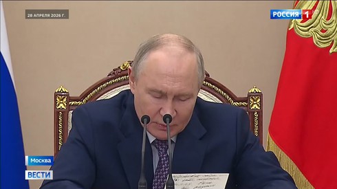 Смотреть