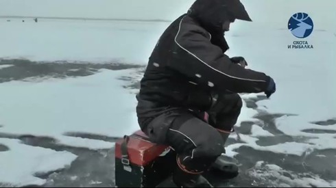 Смотреть