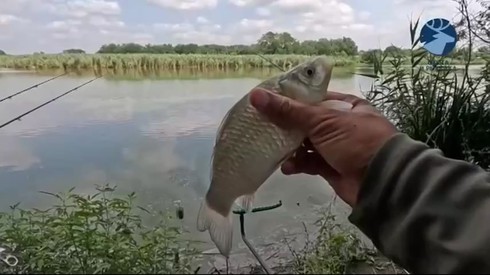 Смотреть