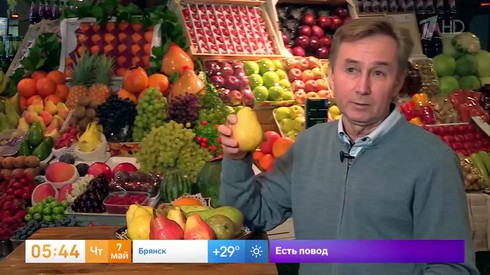 Смотреть