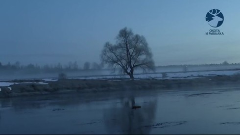 Смотреть