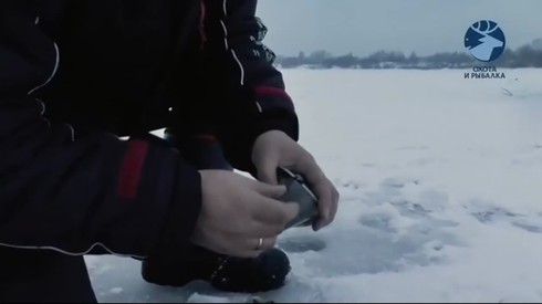 Смотреть