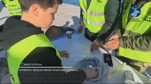 Смотреть