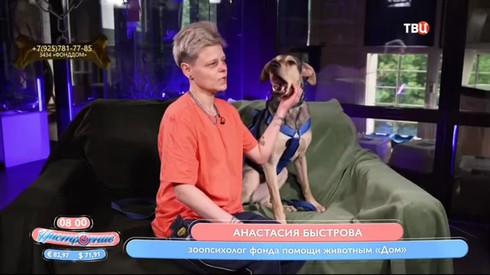 Смотреть
