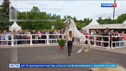 Смотреть