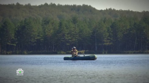 Смотреть