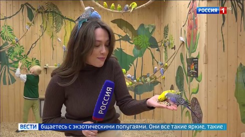Смотреть