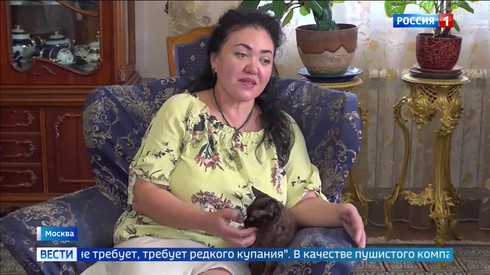 Смотреть