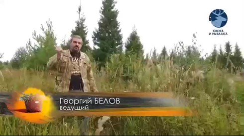 Смотреть