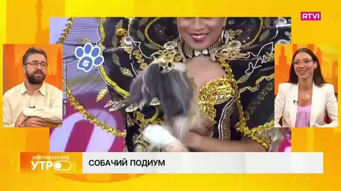 Смотреть