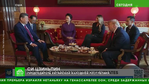 Смотреть
