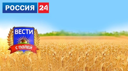 Смотреть