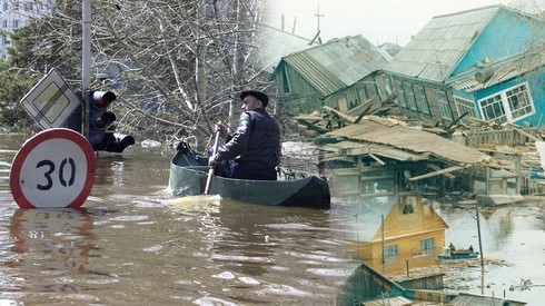 Смотреть