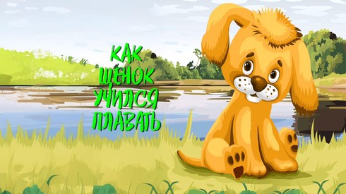 Смотреть