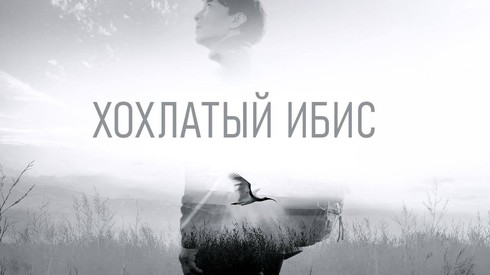 Смотреть