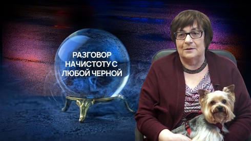 Смотреть
