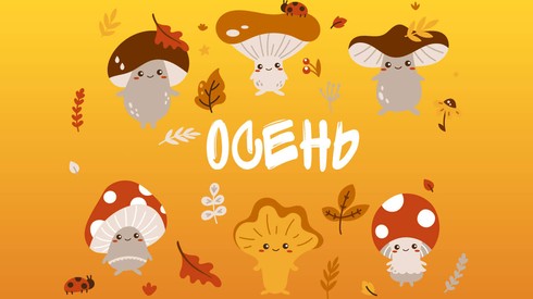 Смотреть