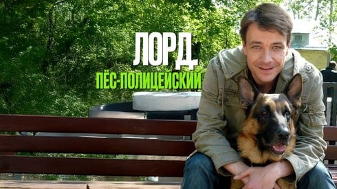 Смотреть