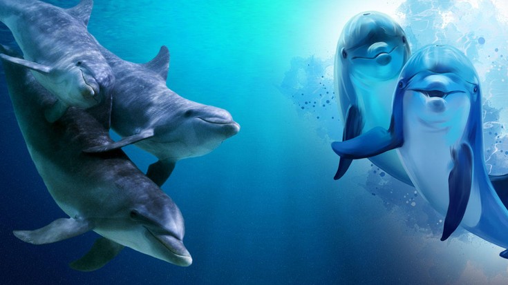 Дельфины - гепарды морских глубин