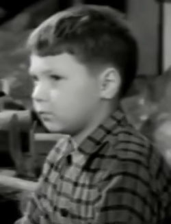 Picture of the actor