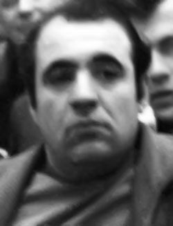 Беренштейн Владимир