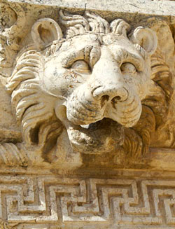 Picture of the actor