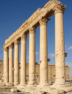 Picture of the actor