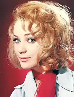 Picture of the actor