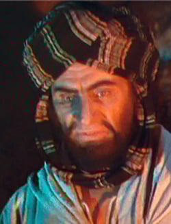 Picture of the actor