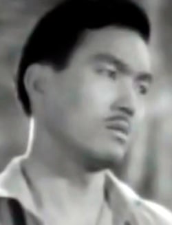 Picture of the actor