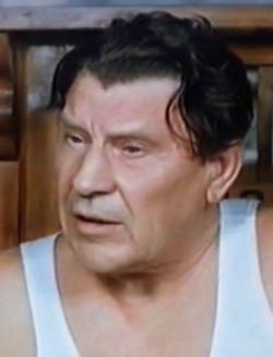 Сибейкин Николай