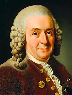 Линней Карл