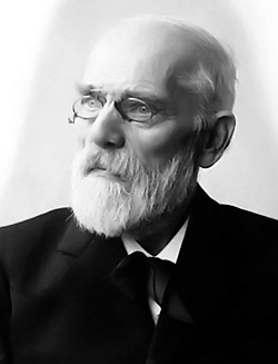 Ван-дер-Ваальс Ян