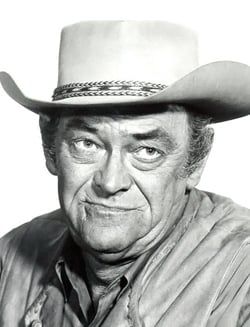 Picture of the actor
